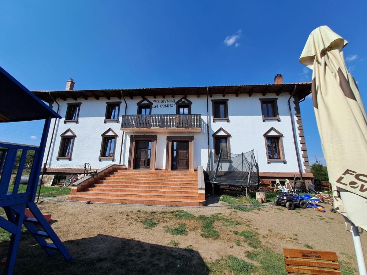 Pensiunea La Conac Bîrlad Esterno foto
